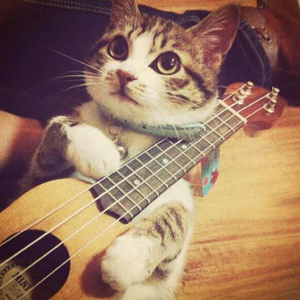 3p一女两男三飞做爰
